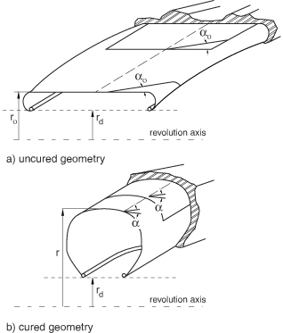 1750232062500.jpg