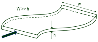 1750837416475.jpg