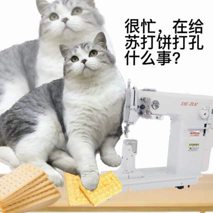 看似忙碌,全是内耗。 看似忙碌,全是内耗。