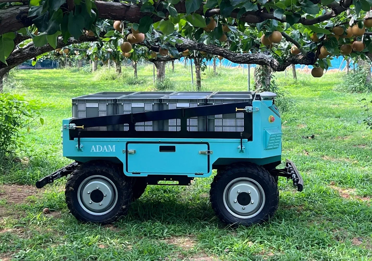 亚当机器人在田野中 亚当机器人在田野中