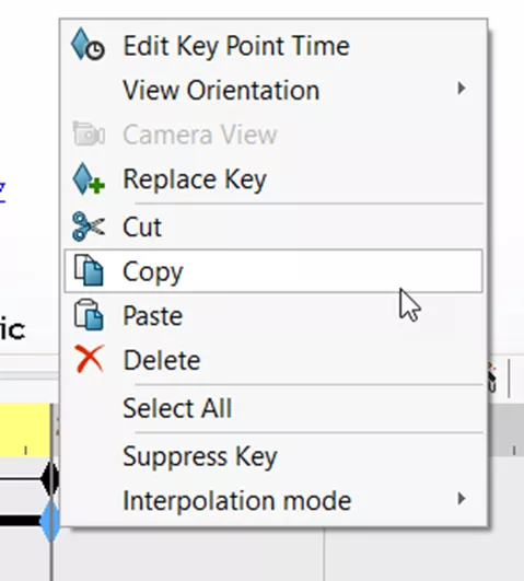 图12：复制选项