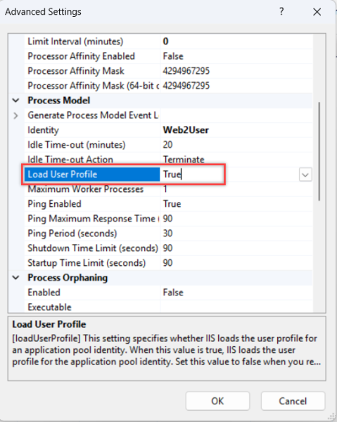 将加载用户配置文件设置为 true（真）