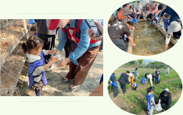 野趣横生的互动