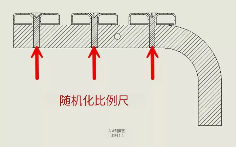随机化比例选项 随机化比例选项